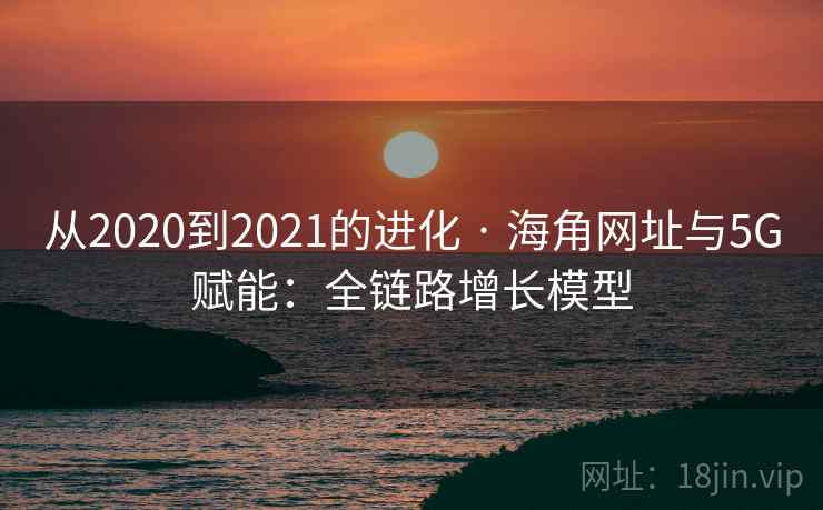 从2020到2021的进化 · 海角网址与5G赋能：全链路增长模型