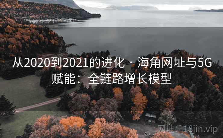 从2020到2021的进化 · 海角网址与5G赋能：全链路增长模型