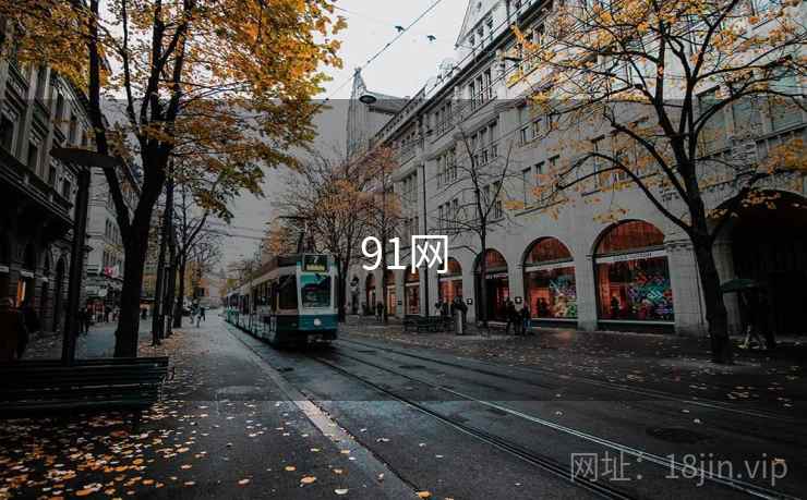 91网 第1张