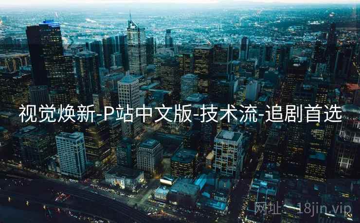 视觉焕新-P站中文版-技术流-追剧首选