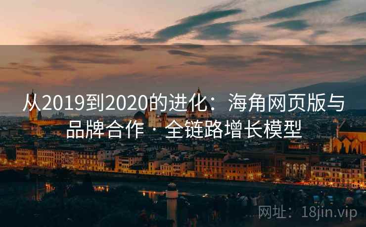 从2019到2020的进化：海角网页版与品牌合作 · 全链路增长模型