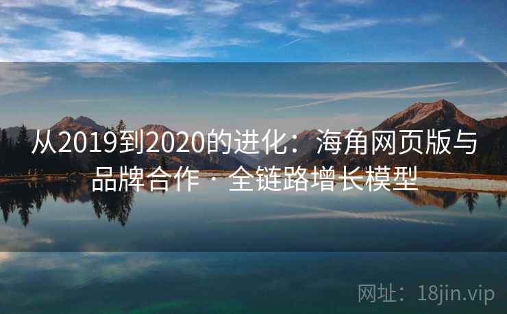 从2019到2020的进化：海角网页版与品牌合作 · 全链路增长模型