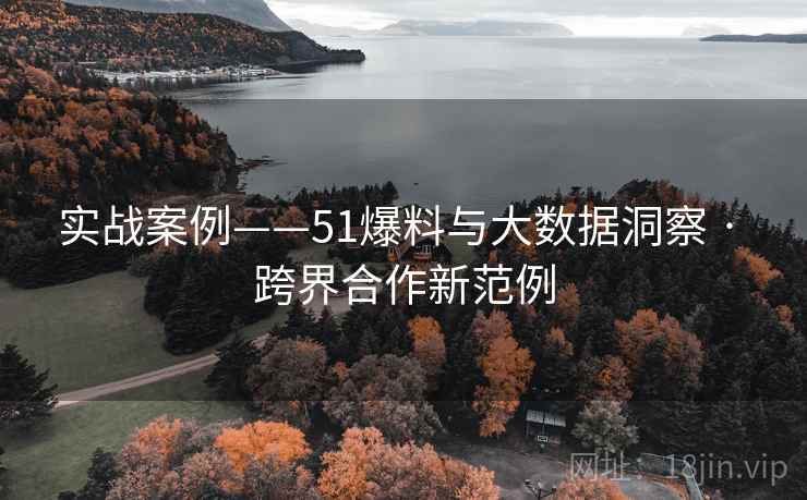 实战案例——51爆料与大数据洞察 · 跨界合作新范例  第1张