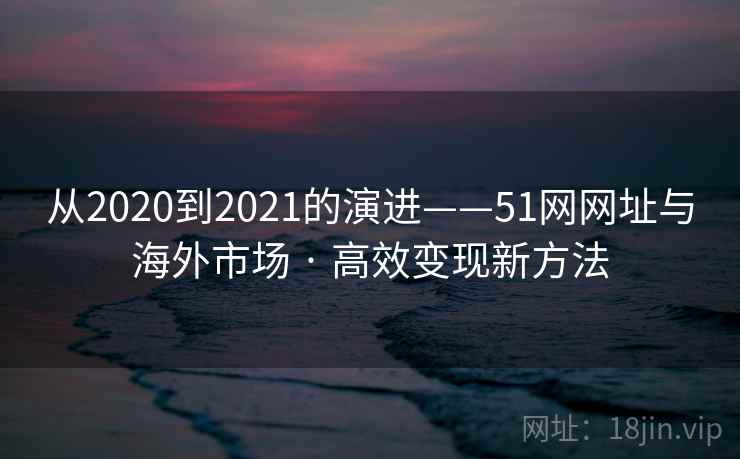 从2020到2021的演进——51网网址与海外市场 · 高效变现新方法