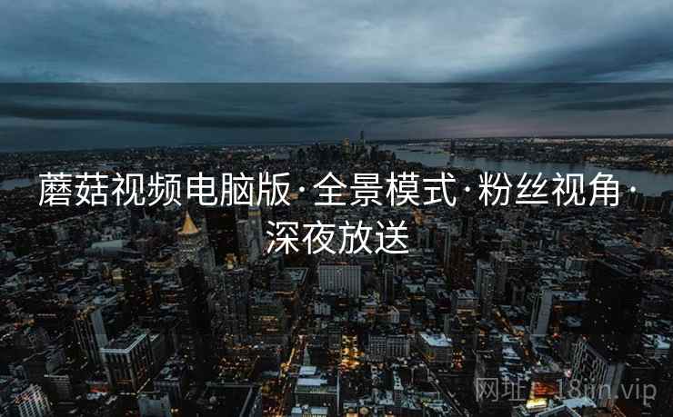 蘑菇视频电脑版·全景模式·粉丝视角·深夜放送