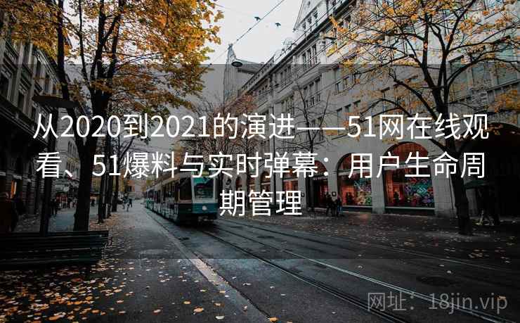 从2020到2021的演进——51网在线观看、51爆料与实时弹幕：用户生命周期管理