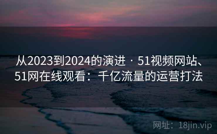 从2023到2024的演进 · 51视频网站、51网在线观看：千亿流量的运营打法