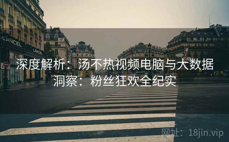 深度解析：汤不热视频电脑与大数据洞察：粉丝狂欢全纪实