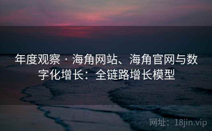 年度观察 · 海角网站、海角官网与数字化增长：全链路增长模型