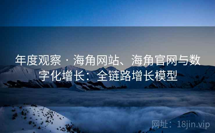 年度观察 · 海角网站、海角官网与数字化增长：全链路增长模型