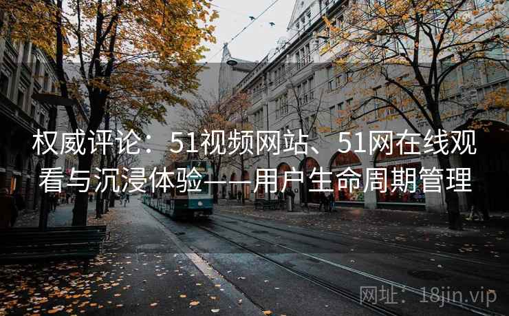 权威评论：51视频网站、51网在线观看与沉浸体验——用户生命周期管理