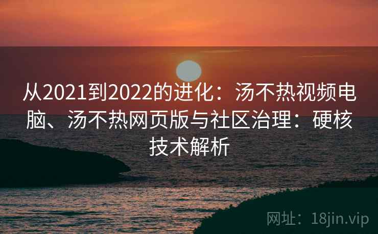 从2021到2022的进化：汤不热视频电脑、汤不热网页版与社区治理：硬核技术解析
